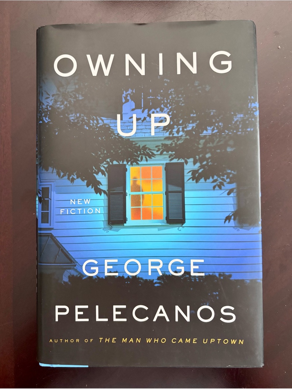 Owning Up by George Pelecanos